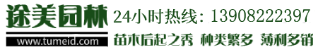 北京工作服定做_北京T恤衫定制_北京廣告衫訂做-【壹戰誠銘】文化衫訂制